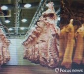 강원도 도축장 9개소 위생 평가 우수