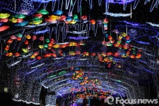 화천 시가지 불 밝힌 선등거리