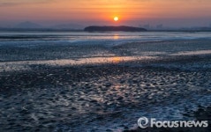 한파로 얼어붙은 강화바다