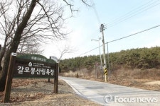 고성군, 갈모봉권 명품 힐링·휴양벨트 조성 추진