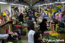 절기상  우수(雨水), 붐비는 화훼 공판장