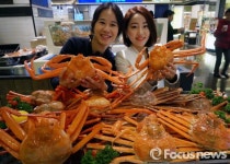 현대百 제철 울진대게 맛보세요