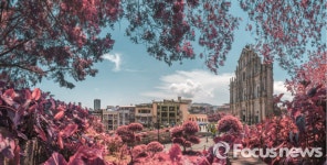 캐세이패시픽, 마카오 여행 39만9000원부터