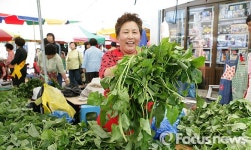 맛과 멋이 있는 정선 5일장…아리랑 흥타령은 덤이요~!