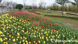 진주 꽃동산으로 봄나들이 오세요