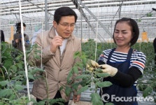 이통사, 스마트팜 확산에 적극 참여