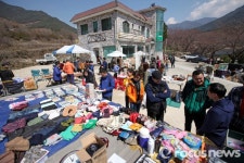 하동 화개골 열려라 꽃장 열린다
