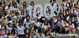 [포커스포토] 첫 안내견이 탄생한지 100주년입니다