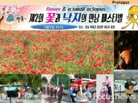 하동 대도마을 섬마을 축제 낙지와 꽃의 만남