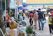 어버이날 선물? 산청약초시장에서 청정약재 한 재 해드리세요