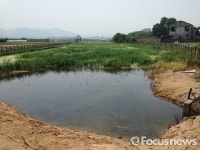 경부고속도 탱크로리 사고…철저한 사후관리로 안심 점새늪 살렸다