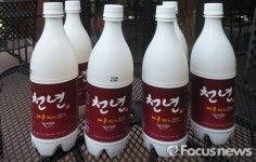대경대의 막걸리 사랑…2년 연속 전통주 전문가 양성기관 선정