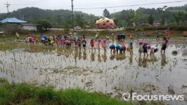 우포늪 4개 생태체험마을, 친환경 공동경작지로 조성