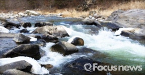 더운 여름 70리 평창금당계곡길 축제로 놀러오세요!