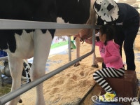 진주국제농식품박람회에 등장한 도심 속 목장