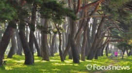 하동송림, 스토리가 있는 숲 생태 해설프로그램 운영