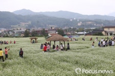 평창군, 이효석 문화콘텐츠 ‘ 효석광장 조성사업’ 준공