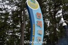 [화보] 강릉 연곡해변 캠핑장