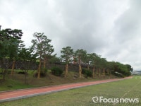 진주 천년광장 주변에 소나무·단풍나무…고급스런 풍경 연출