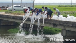 익산 붕어 치어 3만마리 목천포천에 방류…생태계 복원일환