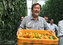 [포토] 파프리카 농장 찾은 김무성 전 대표