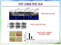 식물에서 한약재 등 천연신물질 진공상태 추출 방법 개발