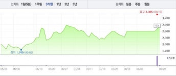 [특징주] 성지건설, 신규 사업 위한 전환사채 발행에 ↑
