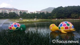 창원용지호수 공원에 대형거북이 한쌍 출현