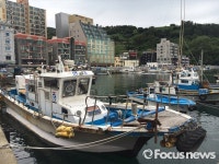 [포토] 거제 콜레라 발생, 발 묶인 어선