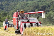 음봉위탁영농합명회사 | 함안군, 칠서면 태곡들서 올해 첫 벼 수확