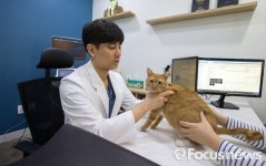 [인터뷰] 이민수 김포24시메디엘동물병원장 애들부터 살려야죠