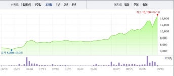 (주)성문아이티피 | [특징주] 반기문 테마주 성문전자, 반기문 1월 귀국 예고에 급등