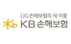 KB손보 대리운전보험 불만 많아…약관 수정 검토 중