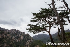 [포토] 원시림의 비경 간직한 망경대