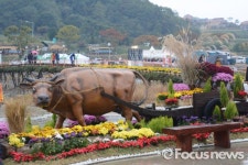 제12회 횡성한우축제 신규 프로그램으로 호응 ↑