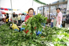 정선아리랑시장 50주년 기념  ‘Korea Sale FESTA’ 개최