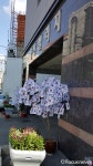 양산 중앙동 평산빌리지 태극기 나무
