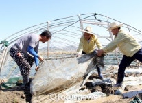 함안군, 태풍 차바 피해 복구에 총력전