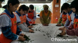 하동 진교중, 하동차문화센터서 자유학기제 실시