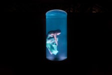 월곶예술공판장, 문화의 날맞이 예술 공연 선봬