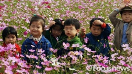 [포토] 코스모스 꽃동산 너무 예뻐요