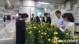 대구도시철도 역사에 국화 향기 가득