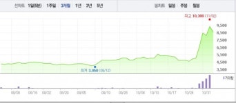 [특징주] 문재인 테마주 DSR제강, 상승세 꺾이나…하락 반전