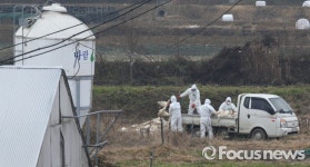 [포토] AI 의심농가 매몰 처리하는 방역관계자