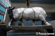 [포토] 황소 동상 옮기는 대신증권