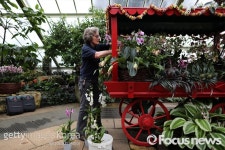 [포토] Kew Gardens Presents Its Annual Orchid Show