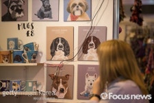 [포토] 도그 쇼(Crufts Dog Show)의 얼굴들