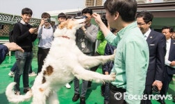 [포토] 안철수, 개와 함께