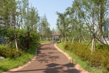 전국에서 아름다운 녹색도시 환경, 인천·강릉·의령