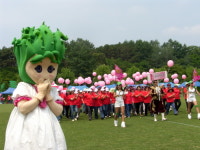 김정문알로에 로하스 페스티벌 개최